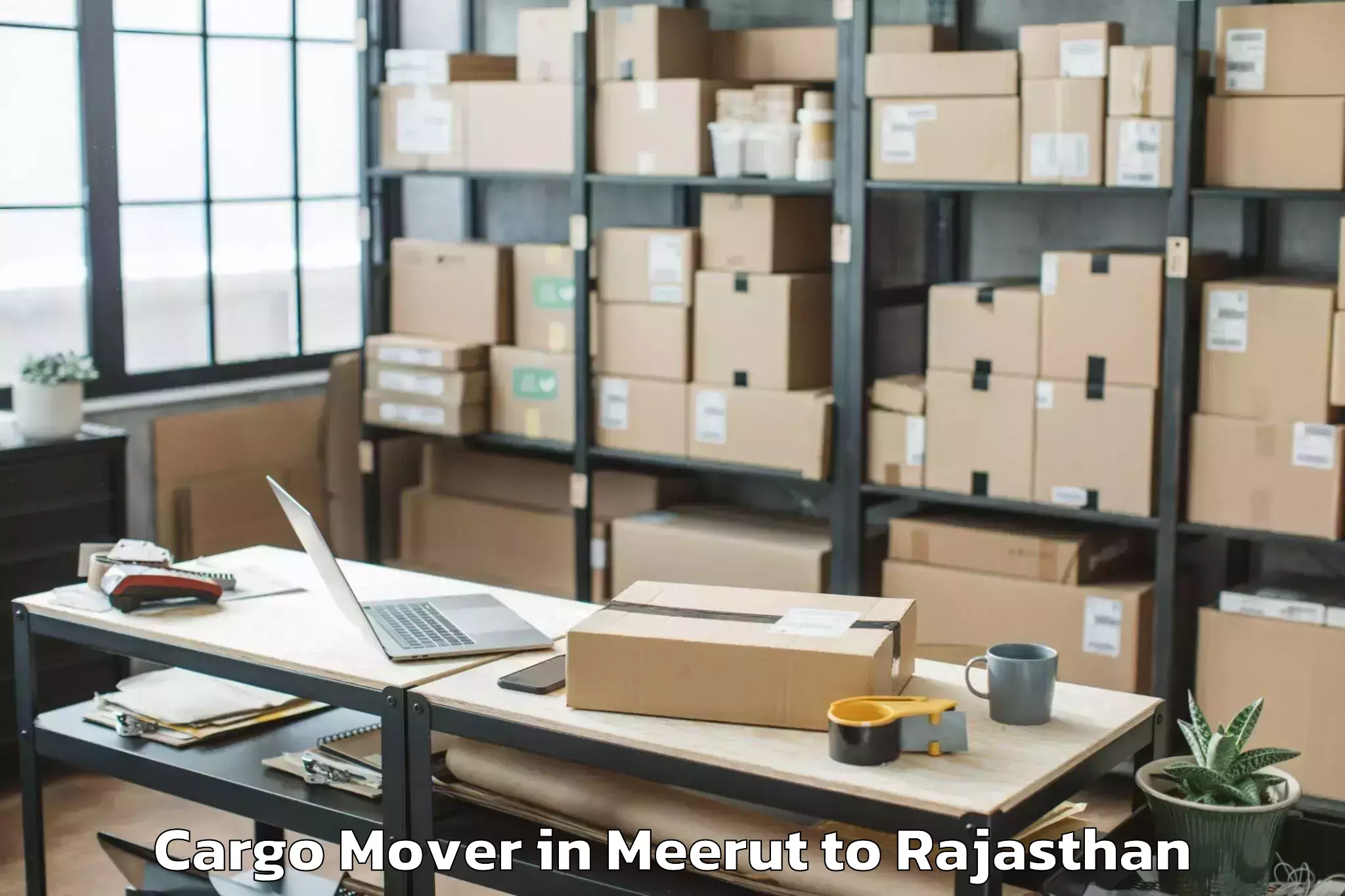 Affordable Meerut to Lunkaransar Cargo Mover